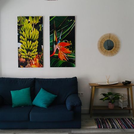 Macaronesia Home Santa Cruz de Tenerife Dış mekan fotoğraf