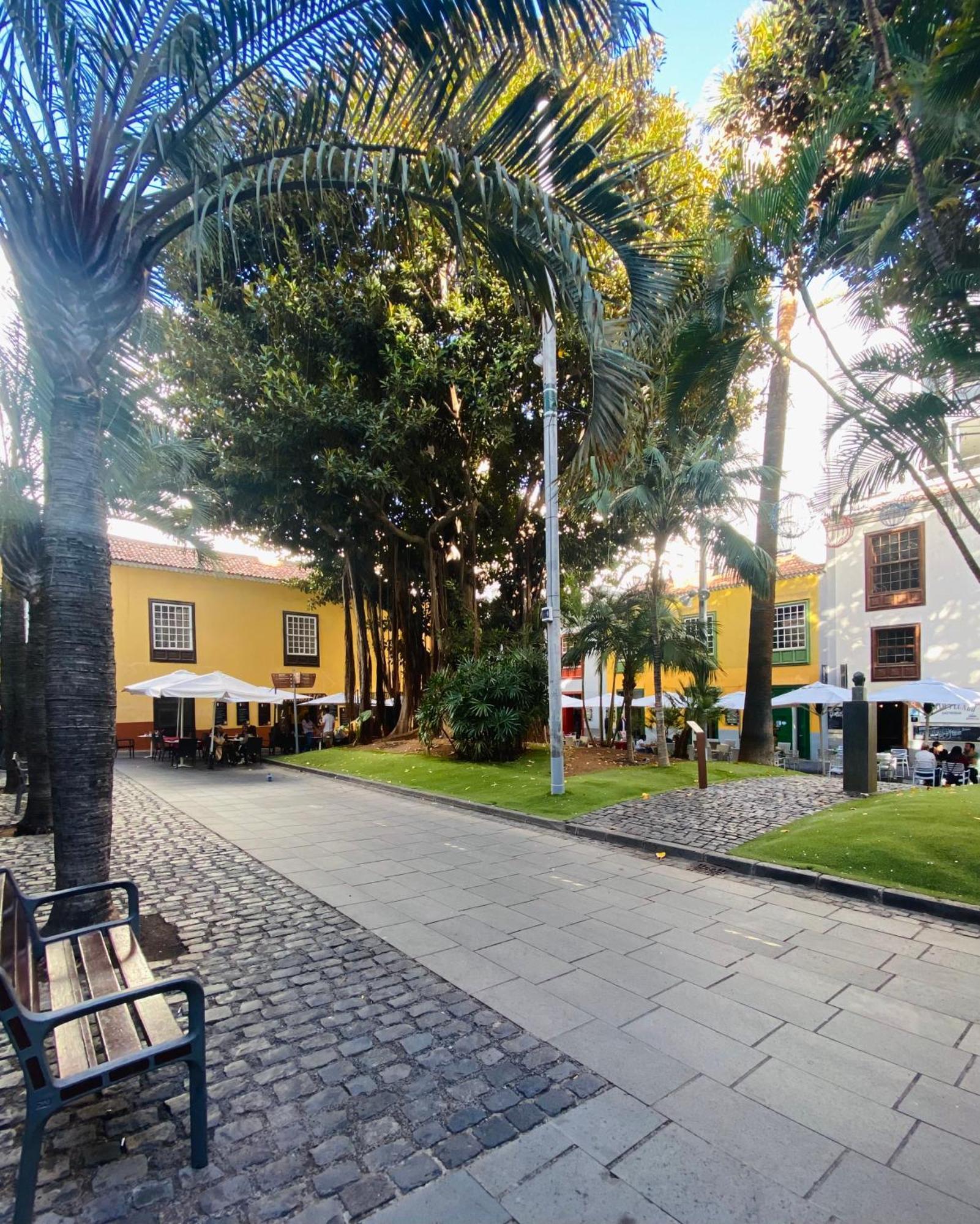 Macaronesia Home Santa Cruz de Tenerife Dış mekan fotoğraf